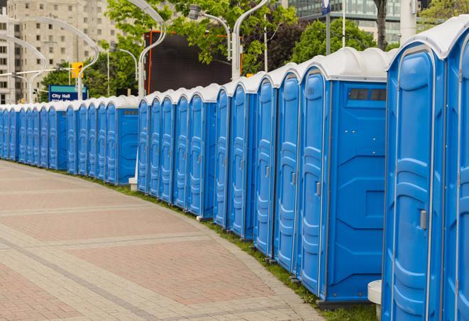 multiple portable restrooms in a neat and tidy row in Bolton, NC